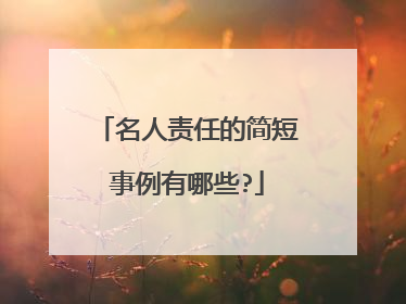 名人责任的简短事例有哪些?