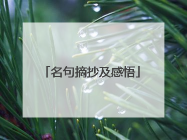 名句摘抄及感悟