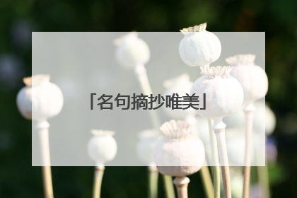 名句摘抄唯美