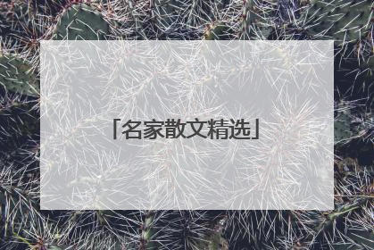 名家散文精选