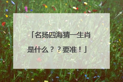 名扬四海猜一生肖是什么？？要准！