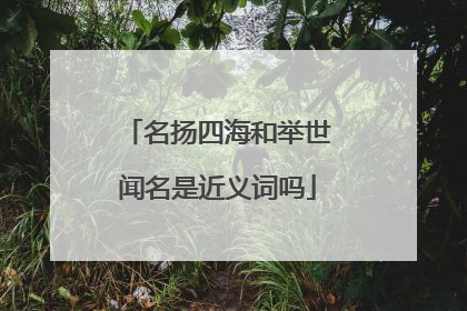 名扬四海和举世闻名是近义词吗