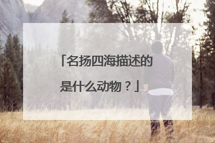 名扬四海描述的是什么动物？