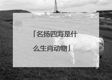 名扬四海是什么生肖动物