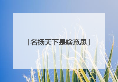 名扬天下是啥意思