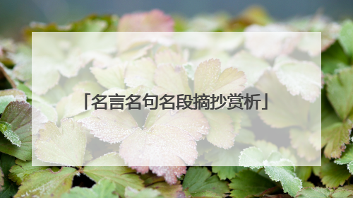 名言名句名段摘抄赏析