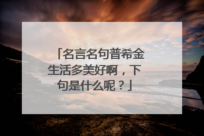 名言名句普希金生活多美好啊，下句是什么呢？