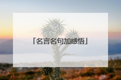 名言名句加感悟