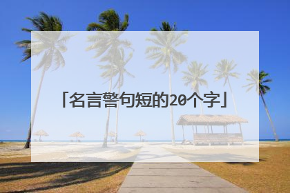 名言警句短的20个字
