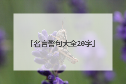 名言警句大全20字