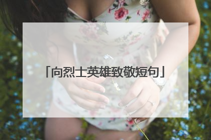 向烈士英雄致敬短句