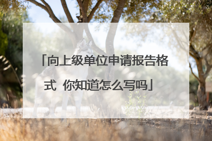 向上级单位申请报告格式 你知道怎么写吗