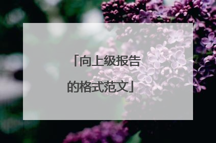 向上级报告的格式范文