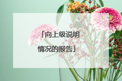 向上级说明情况的报告