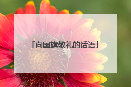 向国旗敬礼的话语