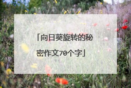 向日葵旋转的秘密作文70个字