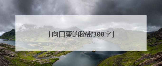 向曰葵的秘密300字