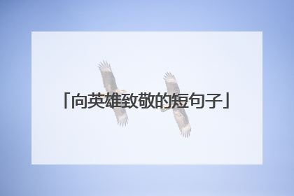 向英雄致敬的短句子