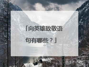 向英雄致敬语句有哪些？