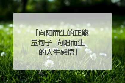 向阳而生的正能量句子 向阳而生的人生感悟