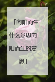 向阳而生什么意思向阳而生的意思