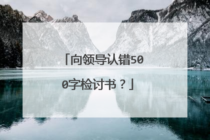 向领导认错500字检讨书？