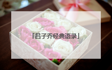 吕子乔经典语录