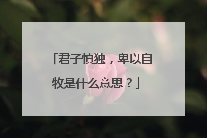 君子慎独,卑以自牧是什么意思?