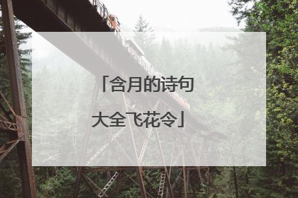 含月的诗句大全飞花令