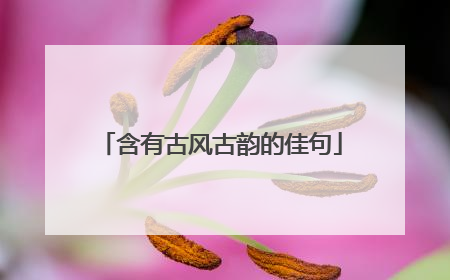 含有古风古韵的佳句