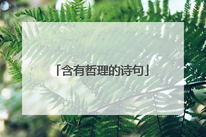 含有哲理的诗句