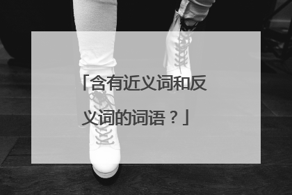 含有近义词和反义词的词语?