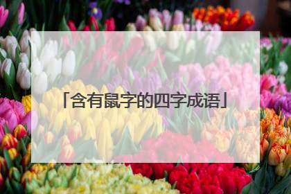 含有鼠字的四字成语