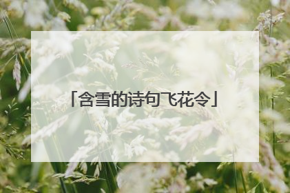 含雪的诗句飞花令