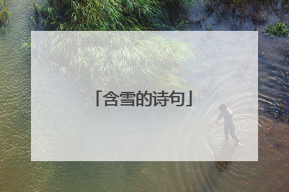 含雪的诗句