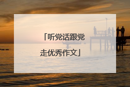 听党话跟党走优秀作文