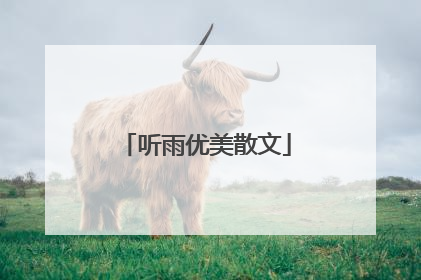 听雨优美散文