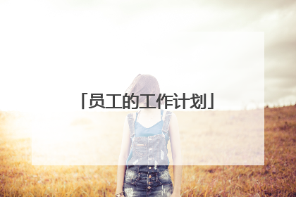 员工的工作计划