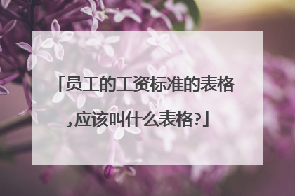 员工的工资标准的表格,应该叫什么表格?