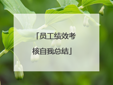 员工绩效考核自我总结