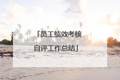 员工绩效考核自评工作总结