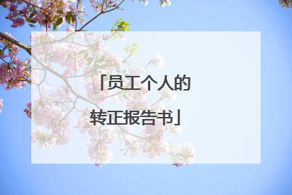 员工个人的转正报告书