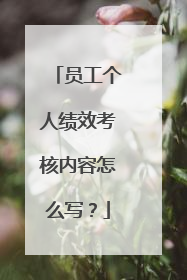 员工个人绩效考核内容怎么写？