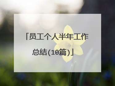 员工个人半年工作总结(10篇)