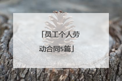 员工个人劳动合同5篇