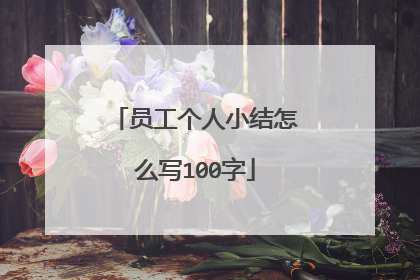 员工个人小结怎么写100字
