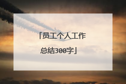 员工个人工作总结300字