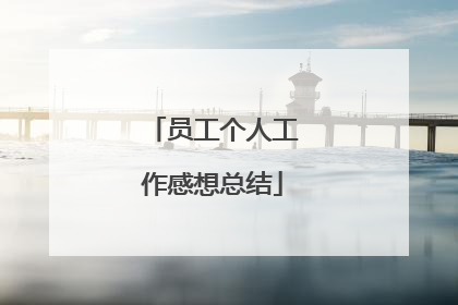 员工个人工作感想总结