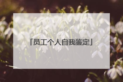 员工个人自我鉴定