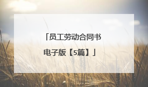 员工劳动合同书电子版【5篇】